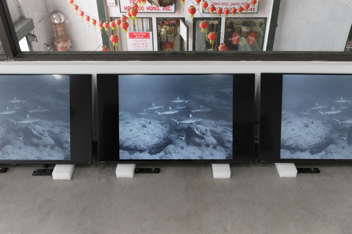 The Sunday of Life - Bel Ami