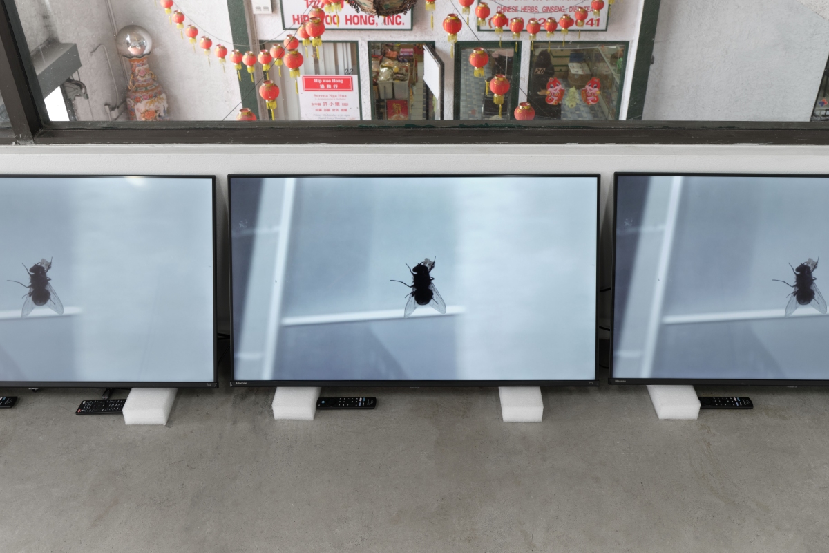 The Sunday of Life - Bel Ami