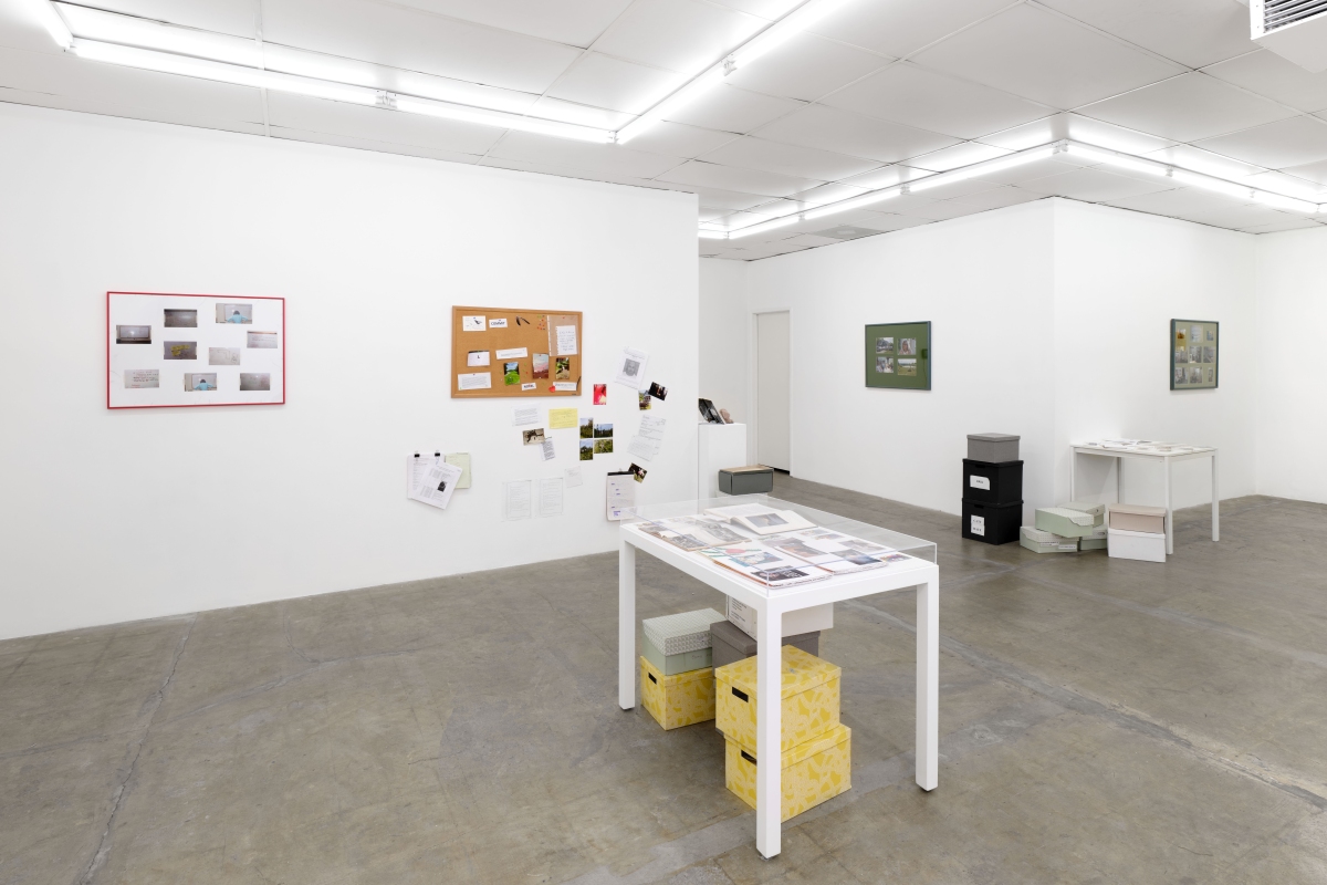 Civil Commitment - Bel Ami