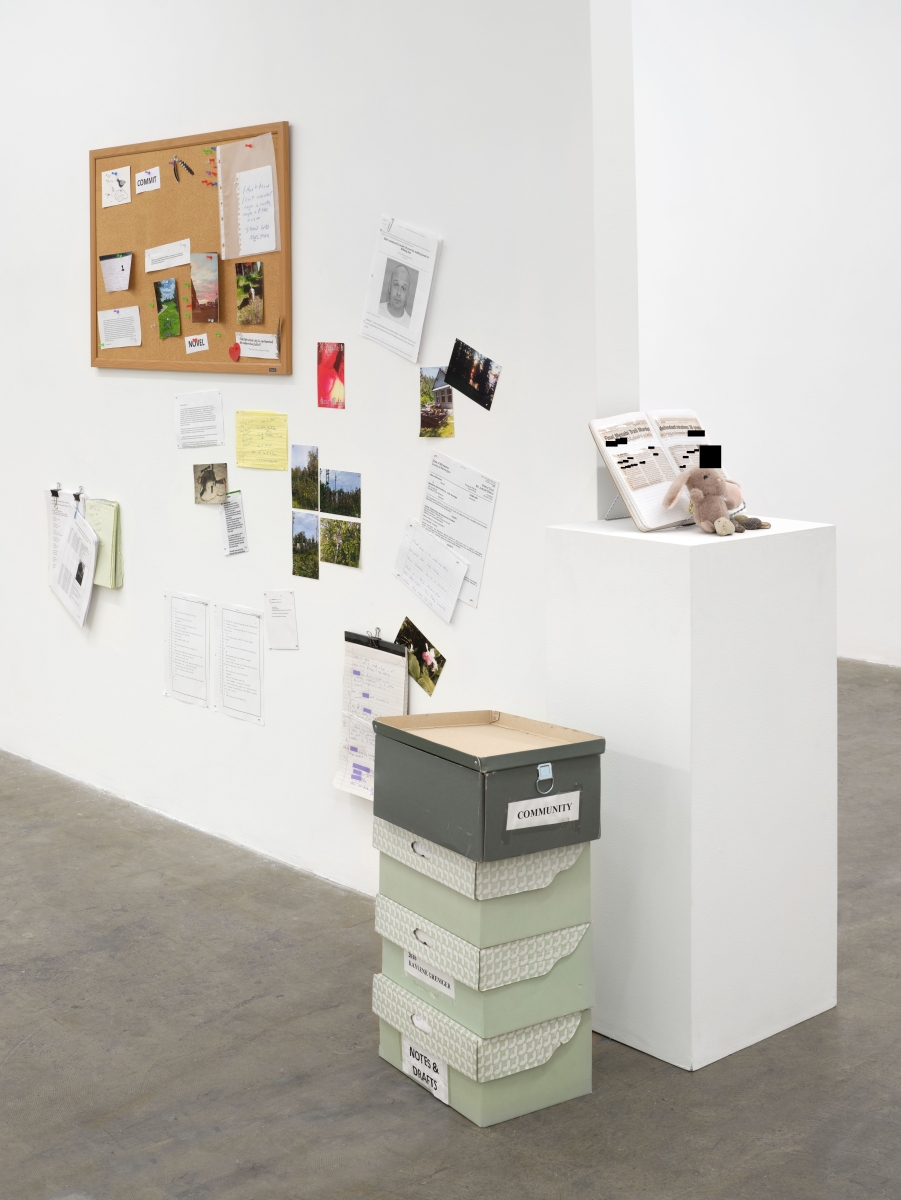 Civil Commitment - Bel Ami