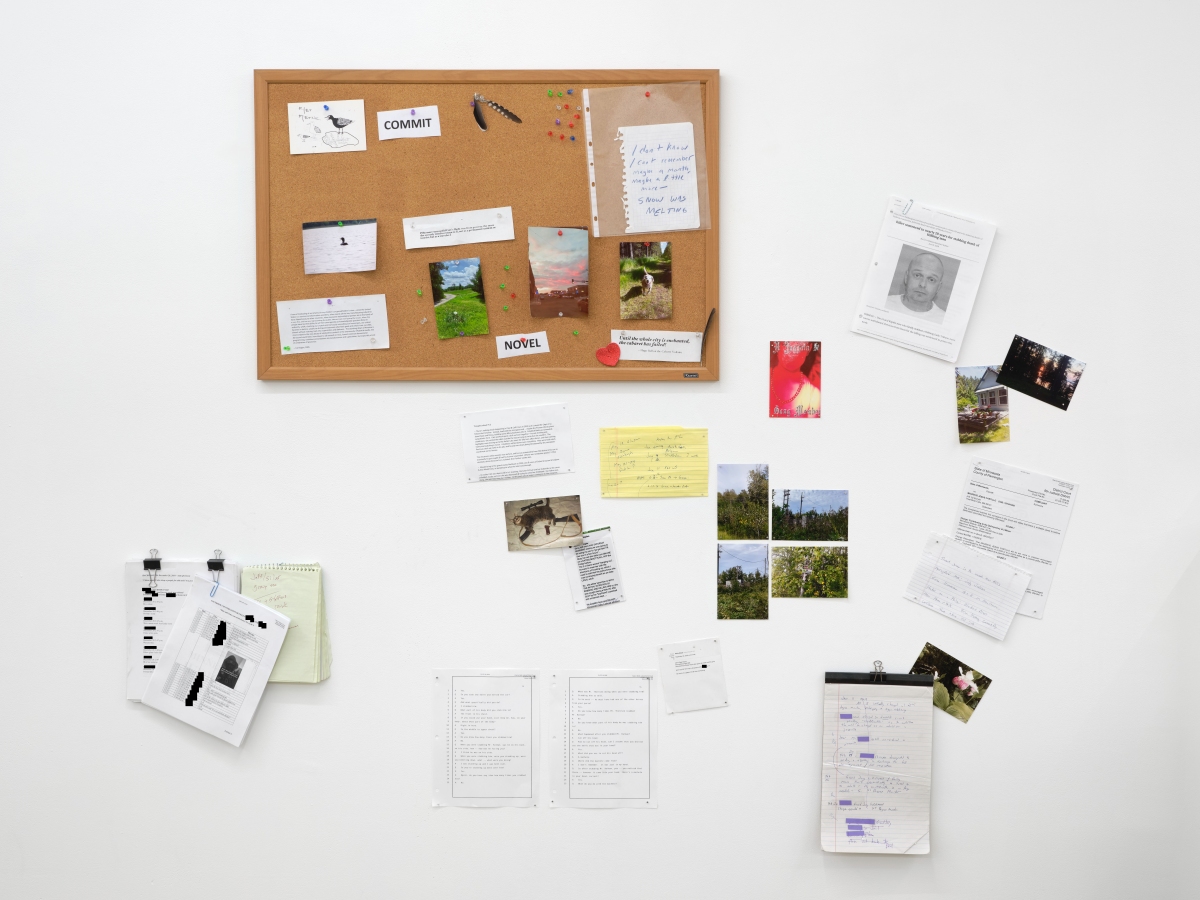 Civil Commitment - Bel Ami