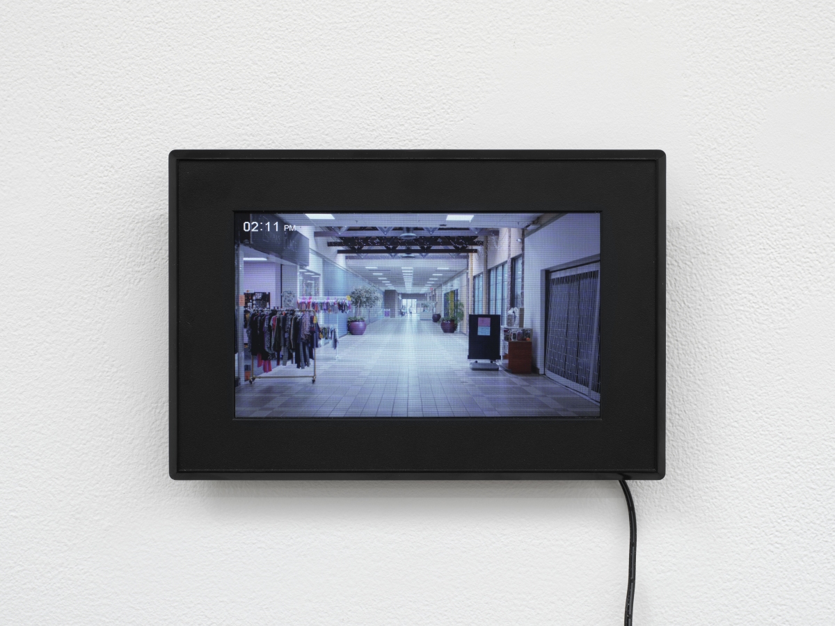 Civil Commitment - Bel Ami