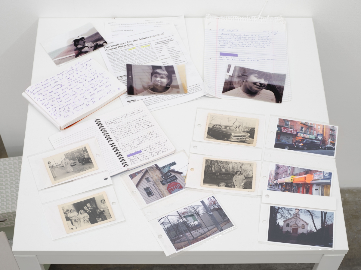 Civil Commitment - Bel Ami