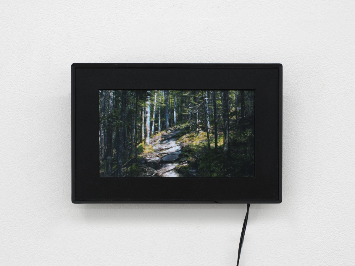 Civil Commitment - Bel Ami