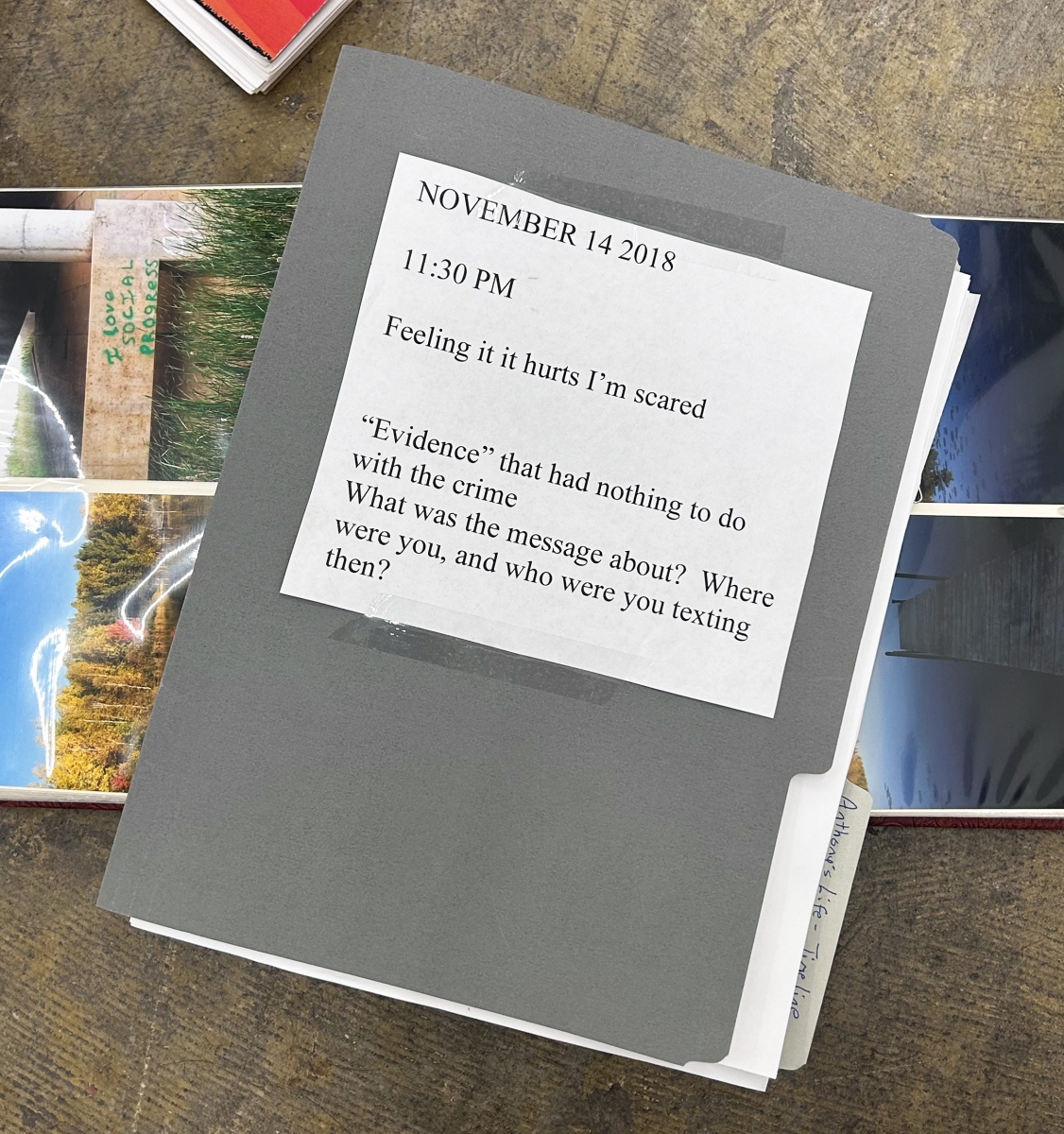 Civil Commitment - Bel Ami