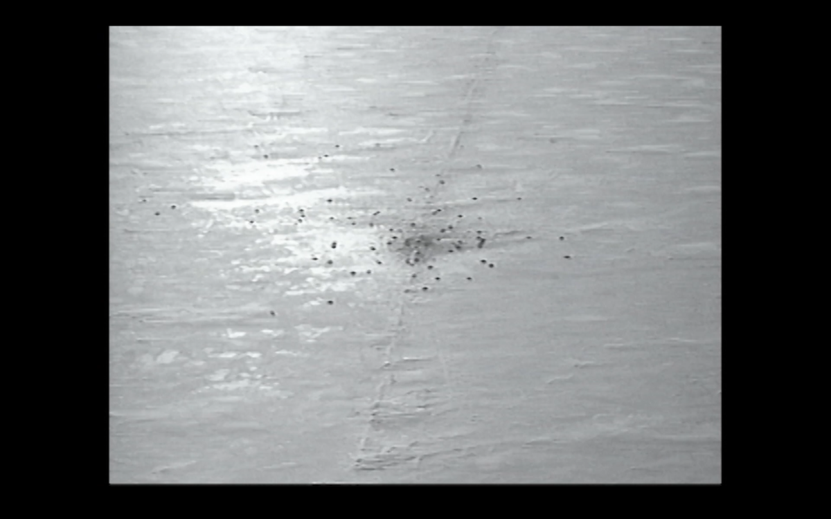 The Sunday of Life - Bel Ami