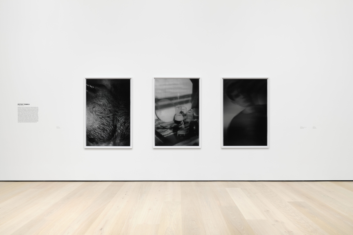 Exposition - Bel Ami