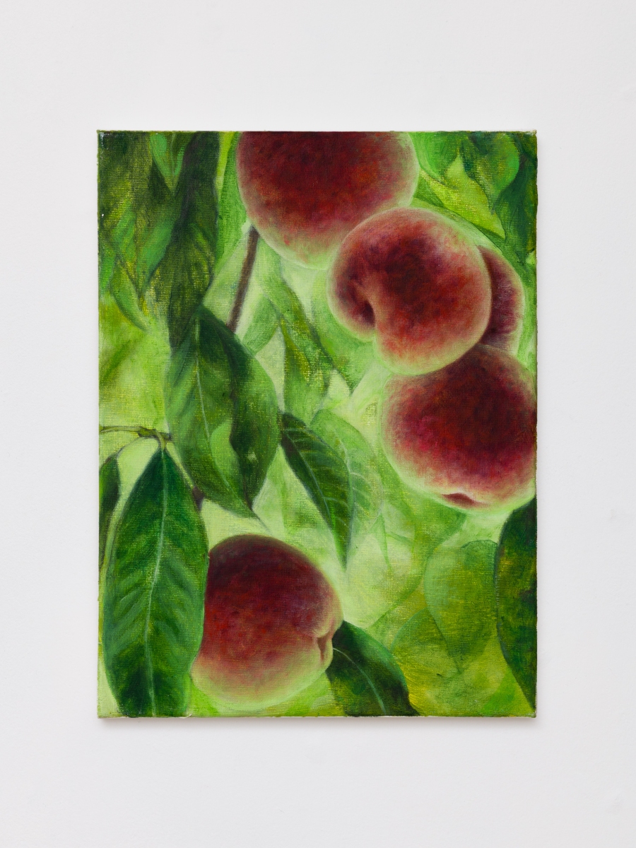 Paris Internationale - Bel Ami