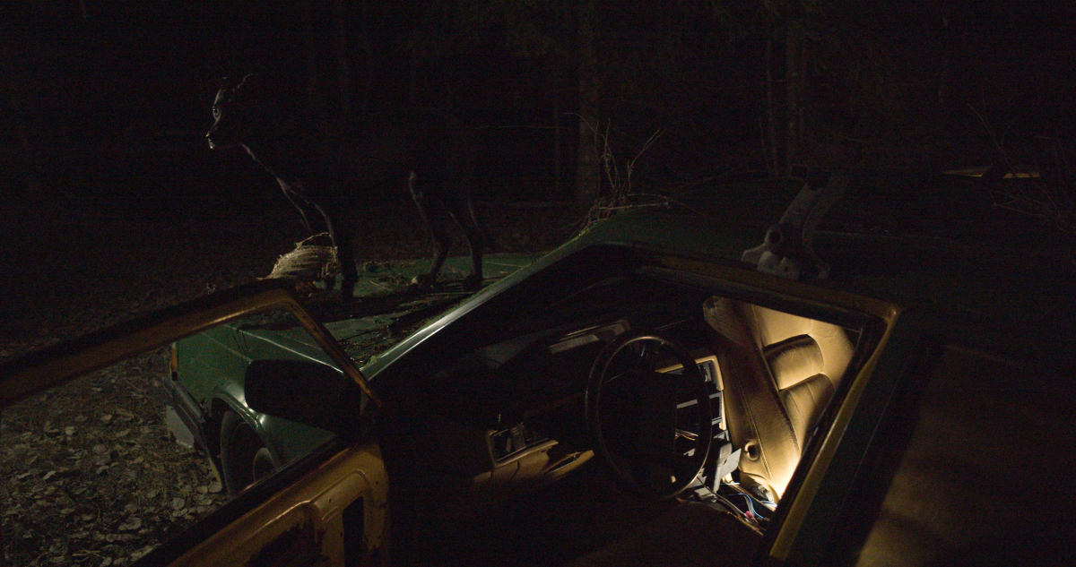 The Cars of Los Angeles - Bel Ami
