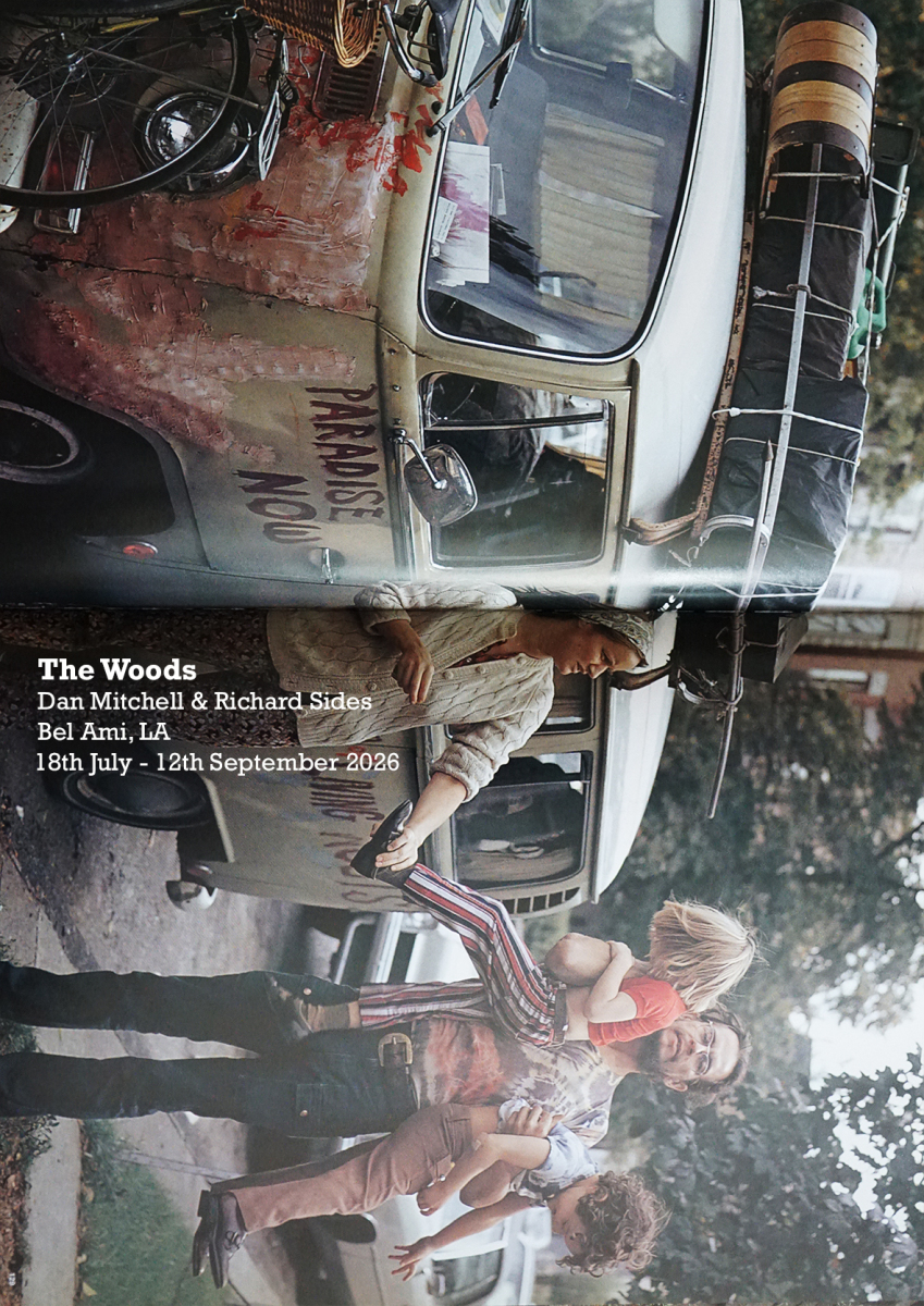 The Woods - Bel Ami